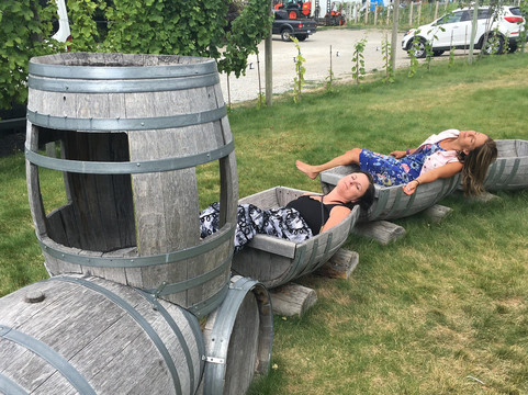 Sagebrush Tours-基洛纳必去景点