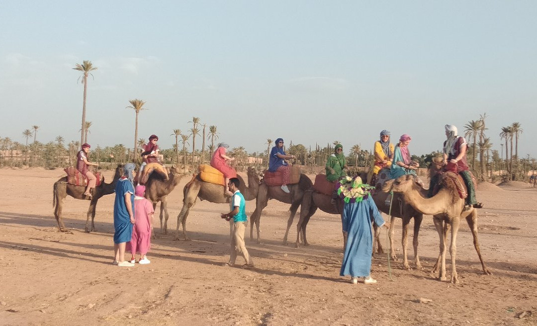 imskre tours-马拉喀什必去景点