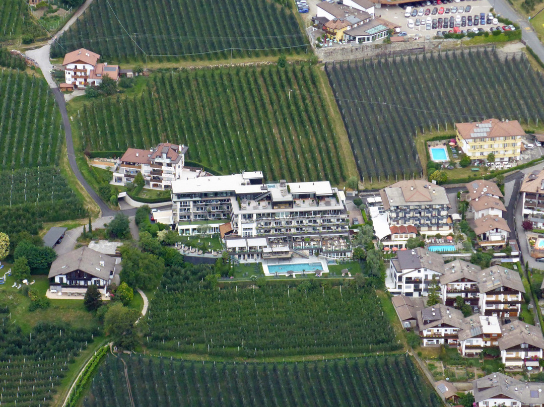 Hotel Patrizia主图
