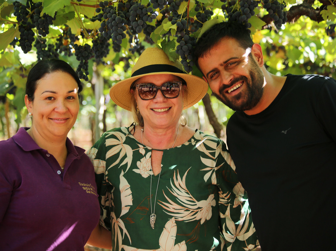 Vinicola Goias-Itaberai必去景点