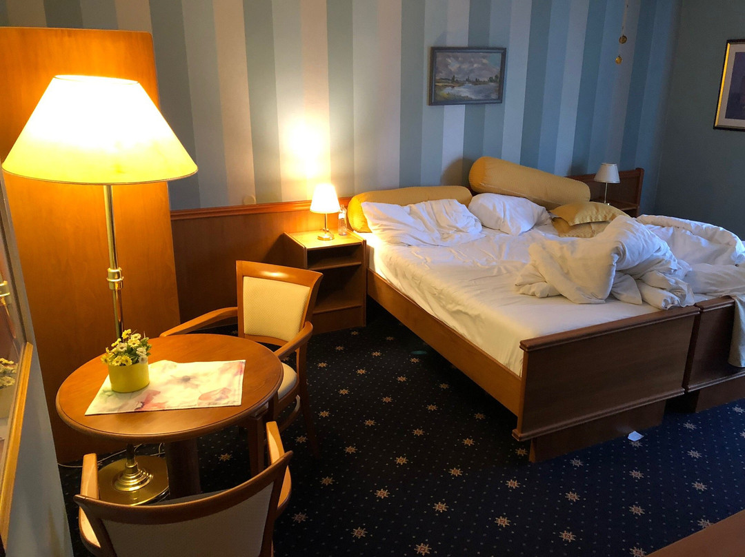 Hotel Villa Conti主图