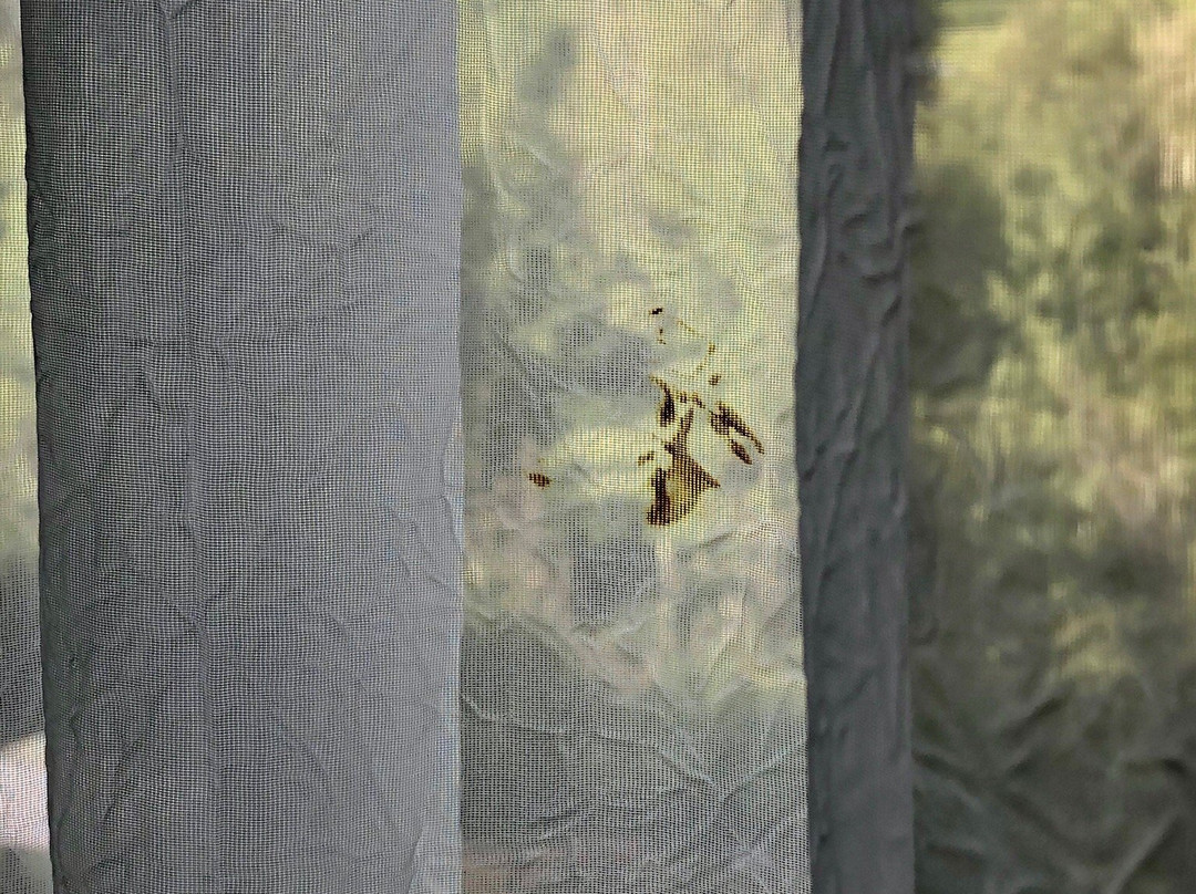 Sunlight Lodge Bed & Breakfast主图