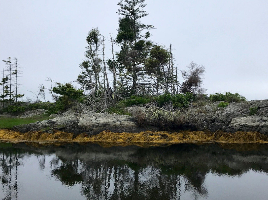 Cape LaHave Adventures-LaHave必去景点