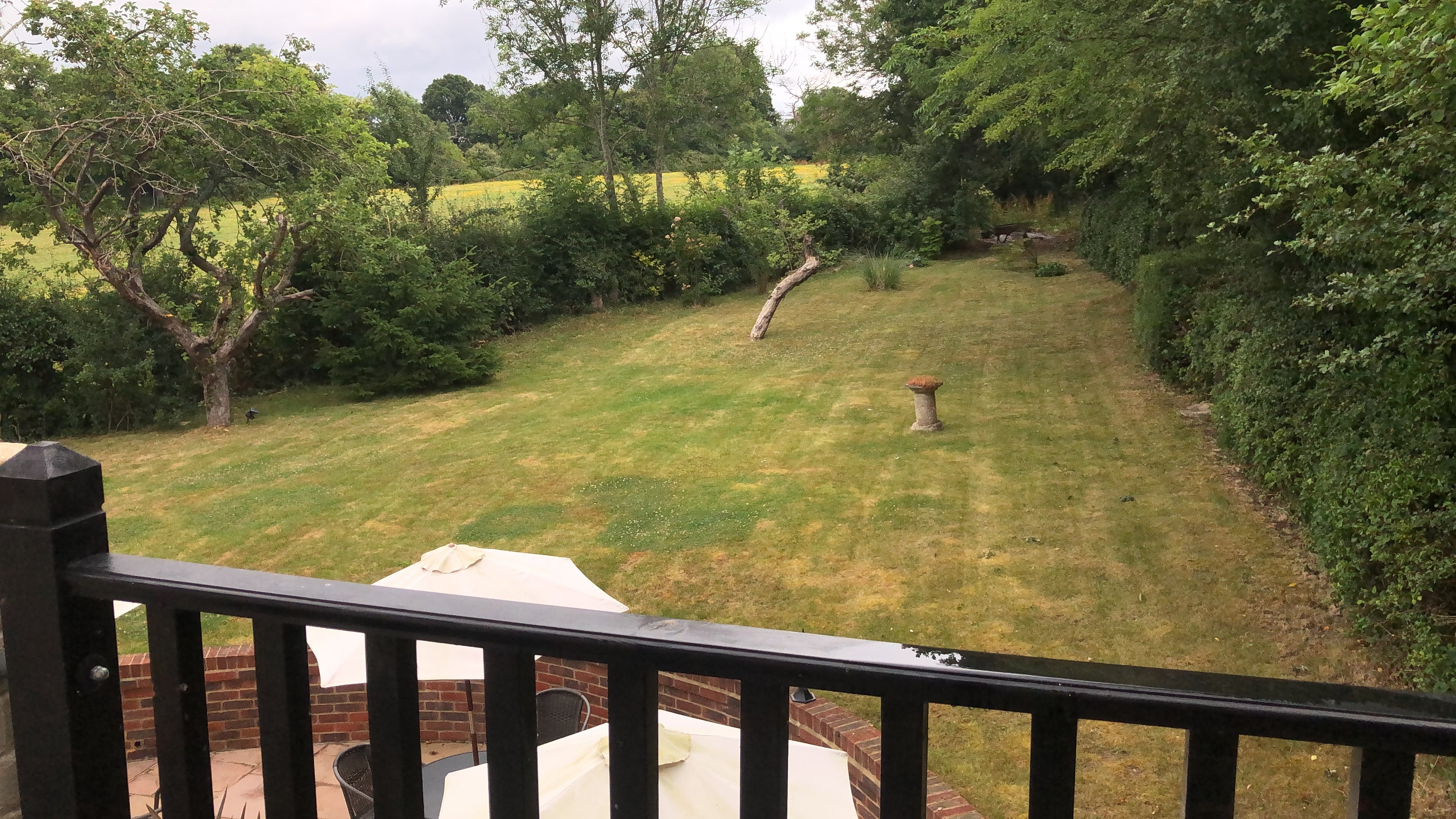 The Greyhound at Hever-酒店景观