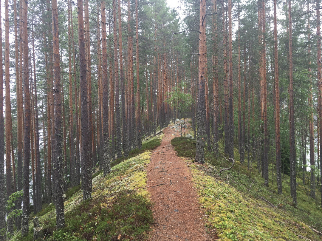 Petkeljärven Kansallispuisto-Ilomantsi必去景点