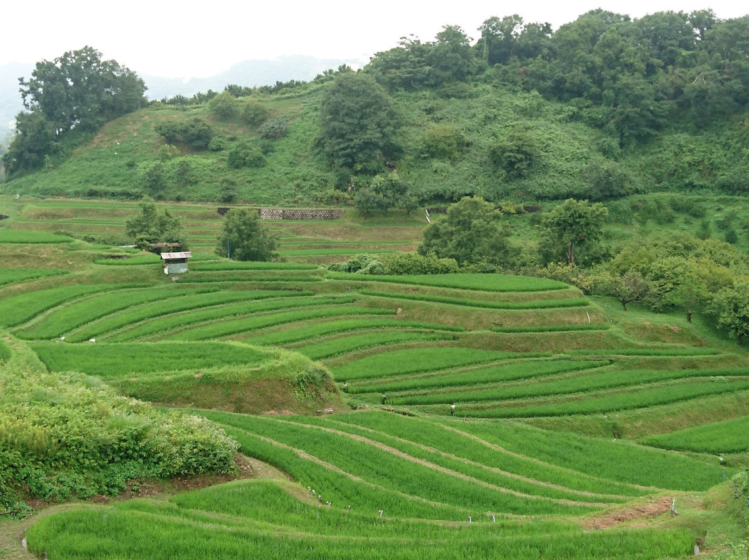 Shimoakasaka Tanada-千早赤阪村必去景点