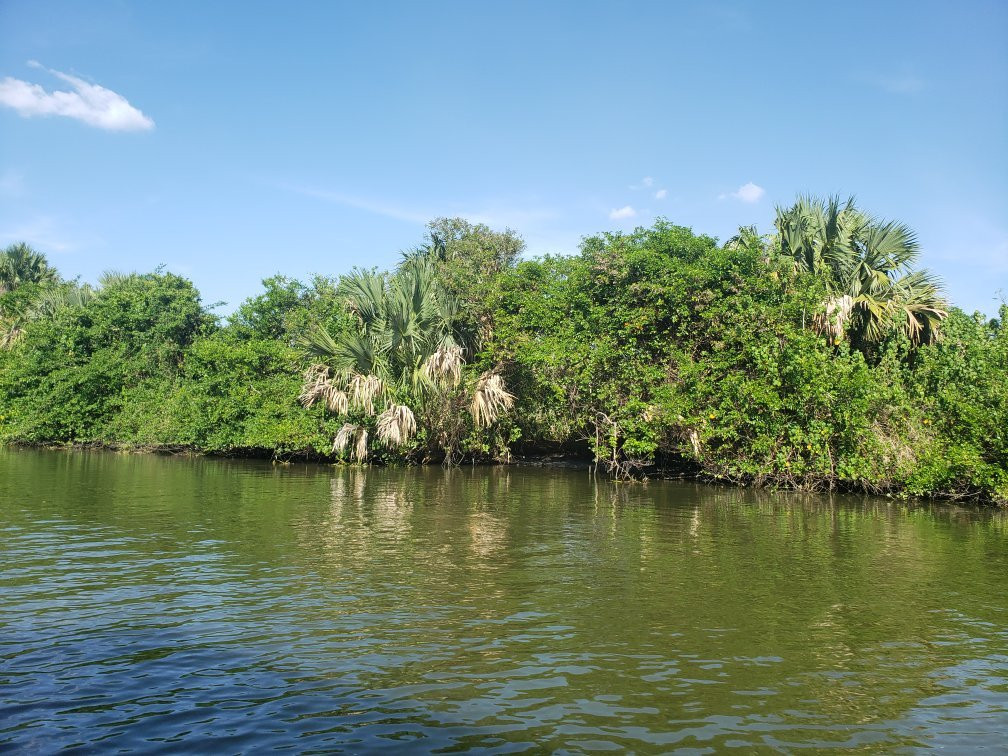 Pantanos de Centla景点图片