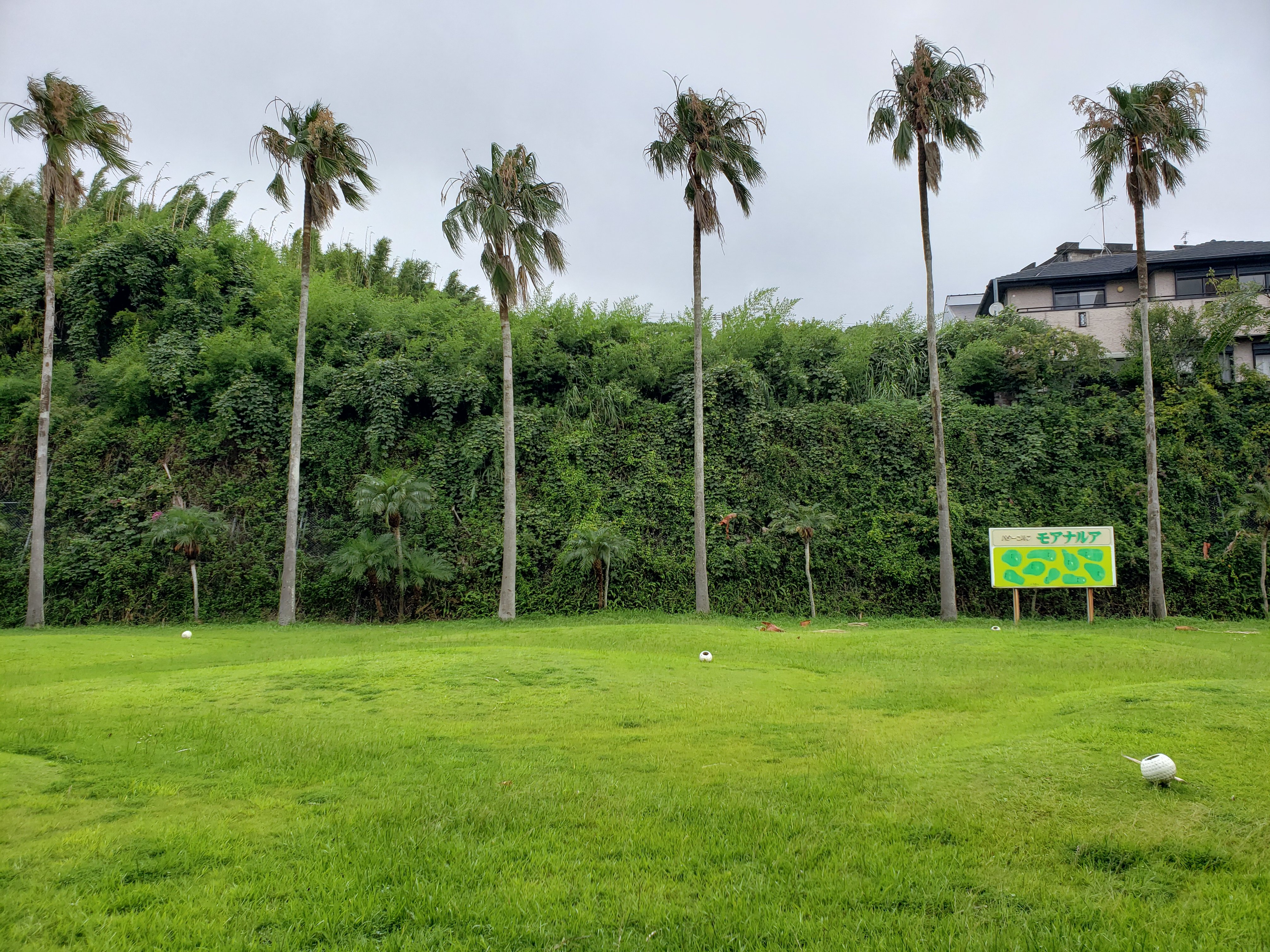 Ibusuki Phoenix Hotel-家庭/游戏区
