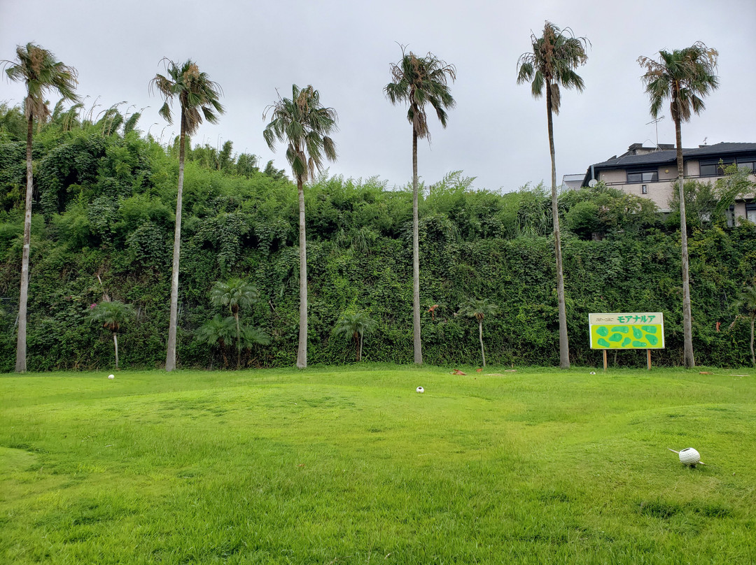 Ibusuki Phoenix Hotel主图