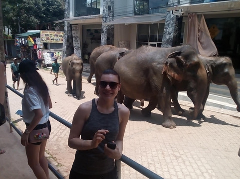 Easy Tours Sri lanka-科伦坡必去景点