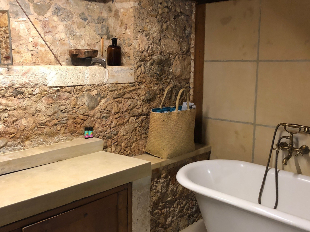 Metohi Kindelis主图