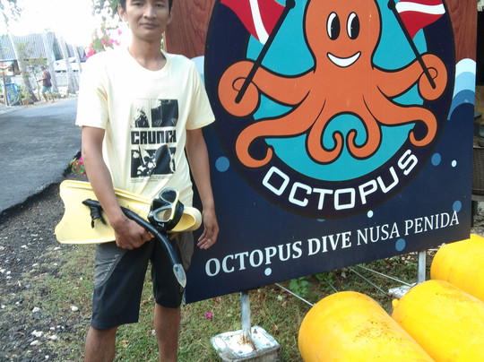 Octopus Dive Nusa Penida-珀尼达岛必去景点