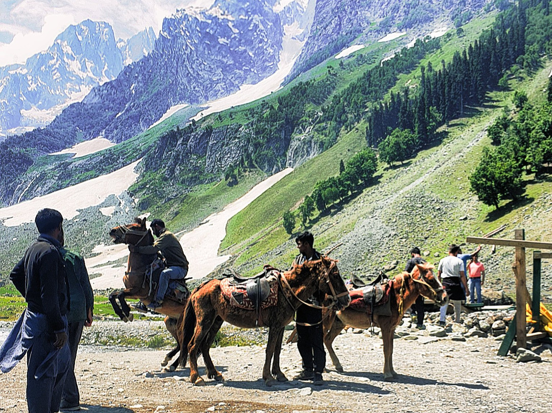 Thajwas Glacier景点图片