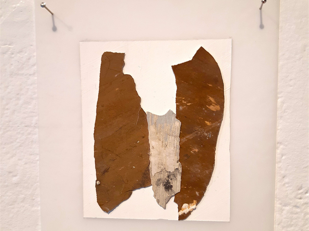 Anna Leonowens Gallery-哈利法克斯必去景点