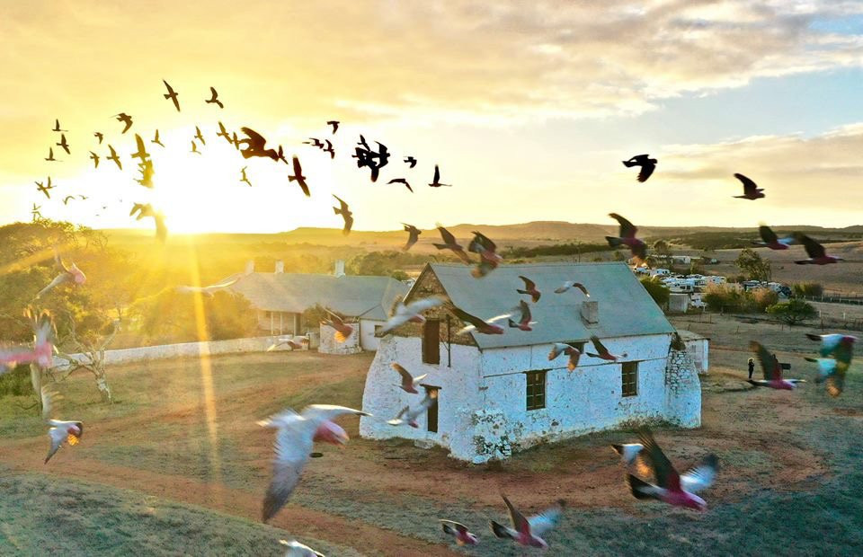 Oakabella Homestead, Tea Rooms and Campground-Bowes必去景点