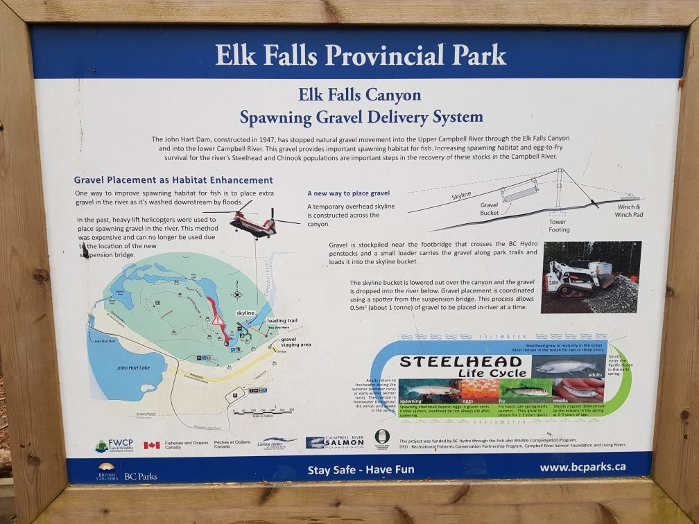 Elk Falls Suspension Bridge景点图片