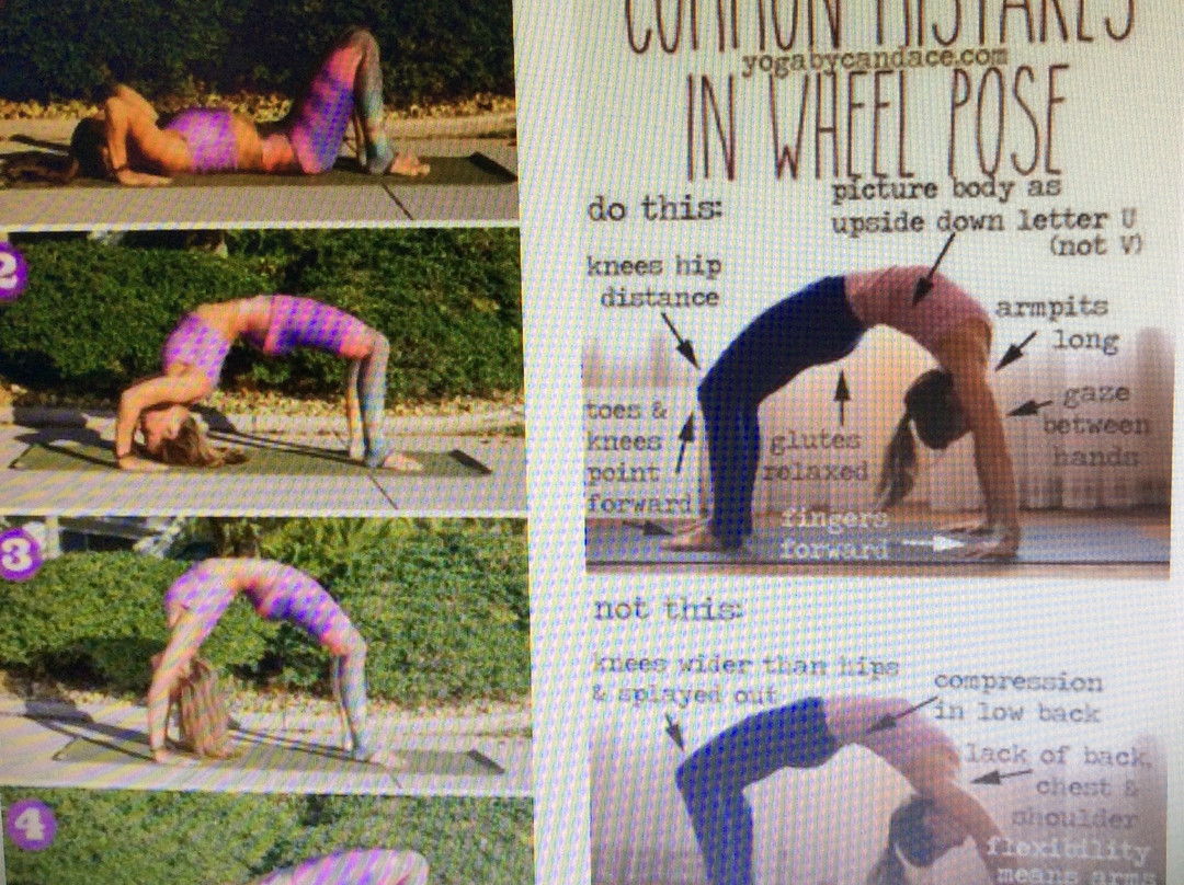 Mayura Yoga Centre景点图片