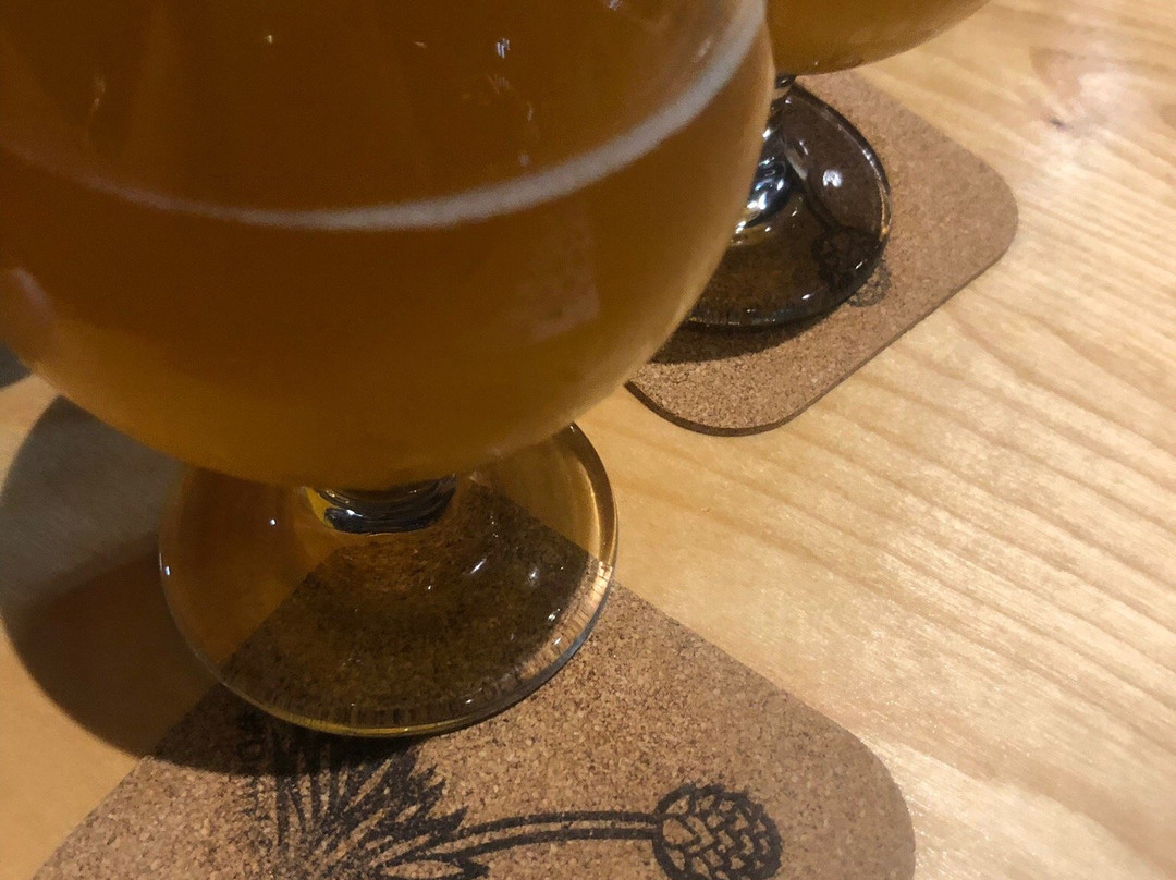 Pondaseta Brewing-阿马里洛必去景点