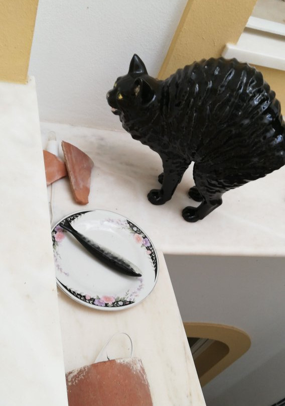 Casa do Colegio Velho主图