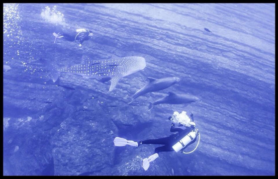 Rocio del Mar-圣何塞卡波必去景点