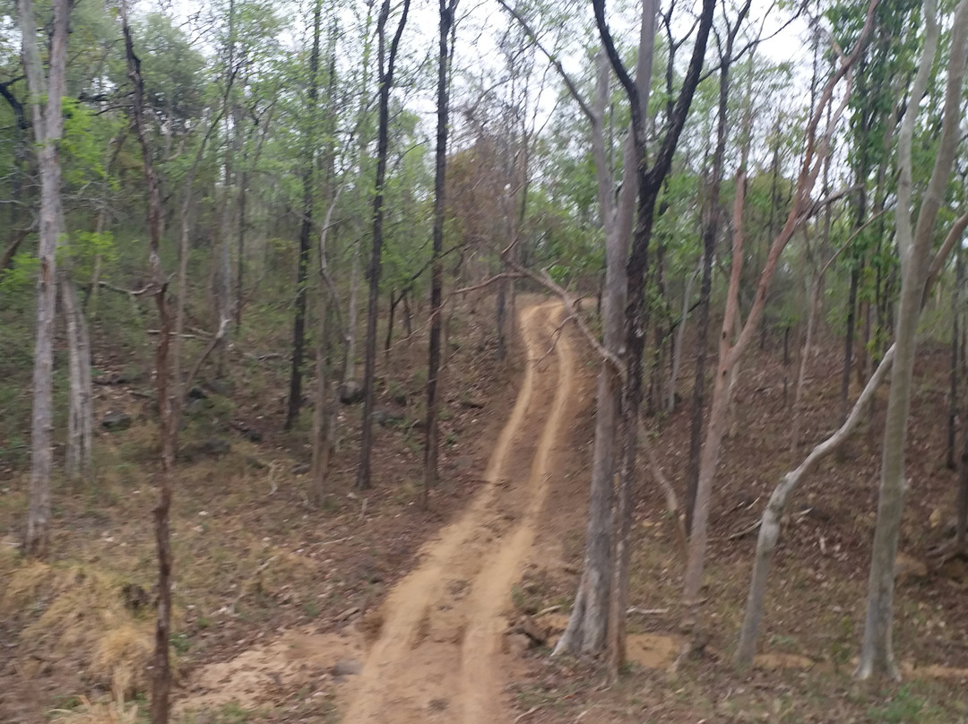 Satpura Tiger Reserve-中央邦必去景点