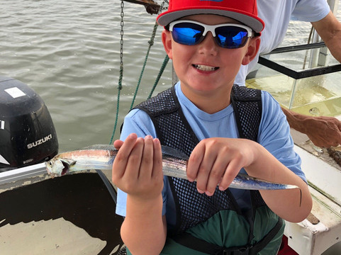 Sailaway Charters-橙色海湾必去景点