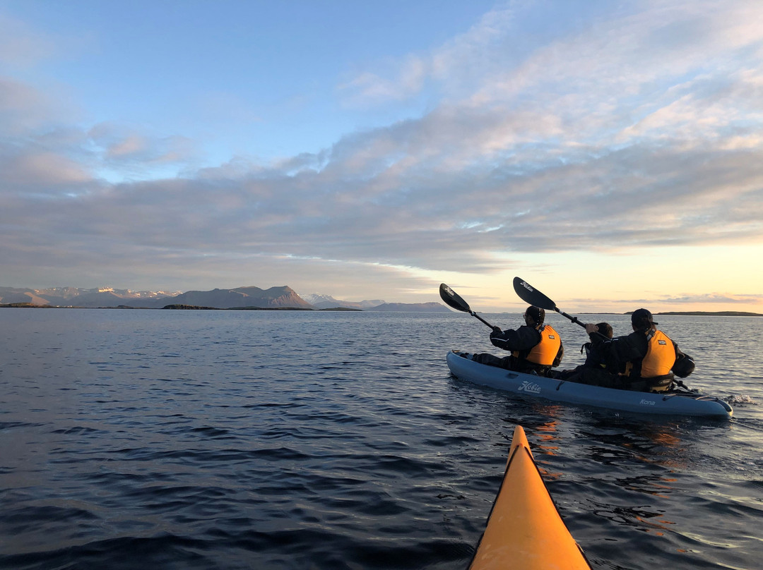 Kontiki Kayaktours-Stykkisholmur必去景点