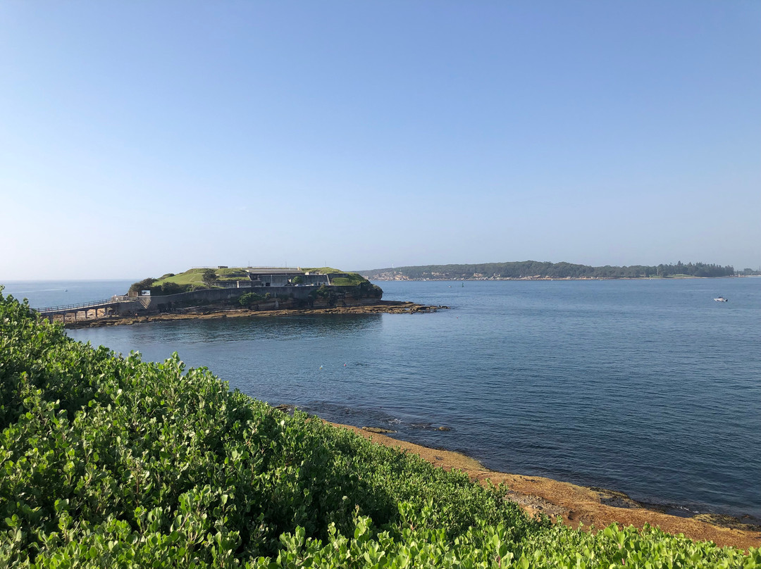 Sydney Dive Safari景点图片