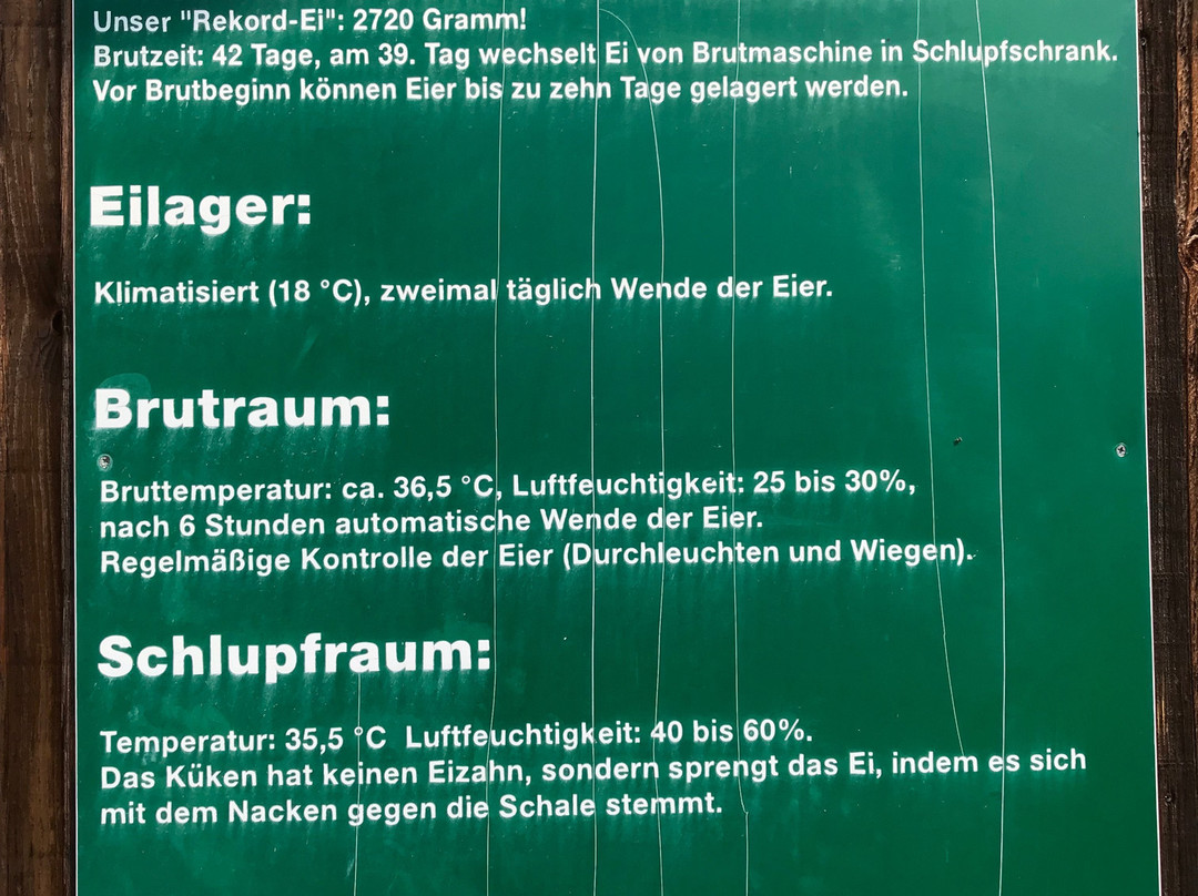 Straussenfarm Mhou-Rulzheim必去景点