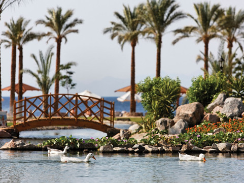 Moevenpick Resort Taba主图