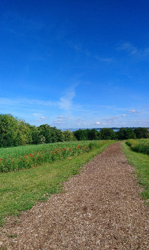 Byparken City Park, Roskilde-罗斯基勒必去景点