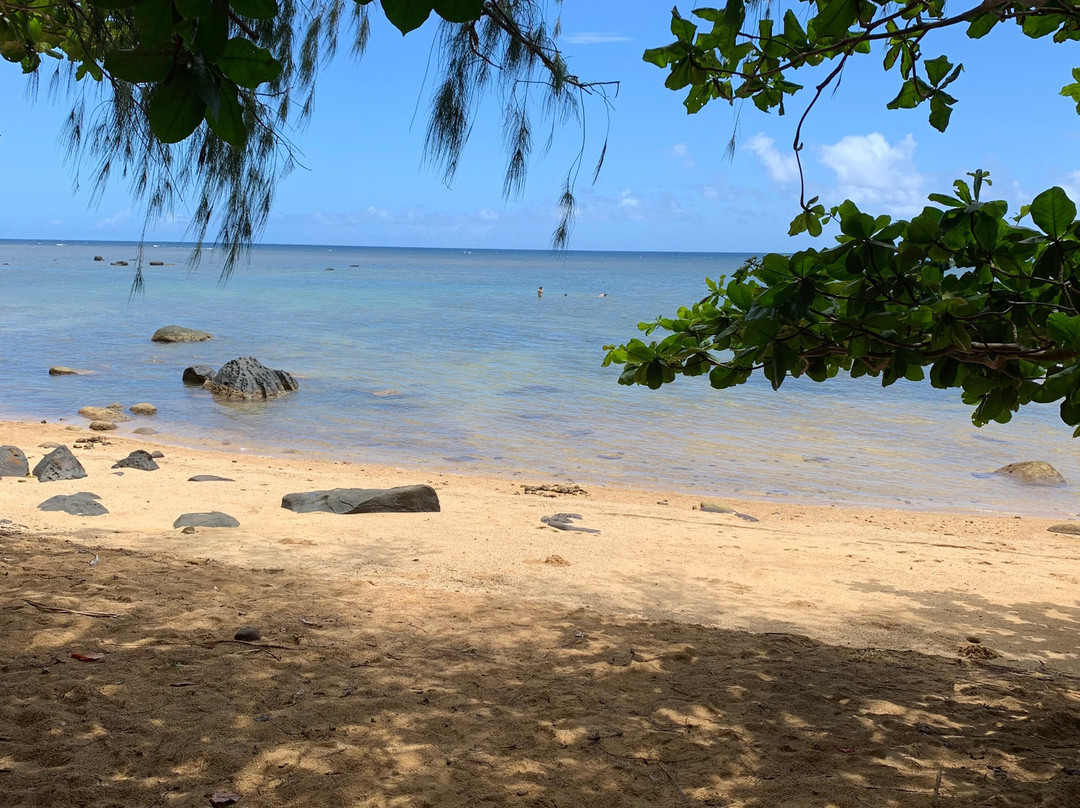 Wyllie's Beach-基拉韦厄必去景点