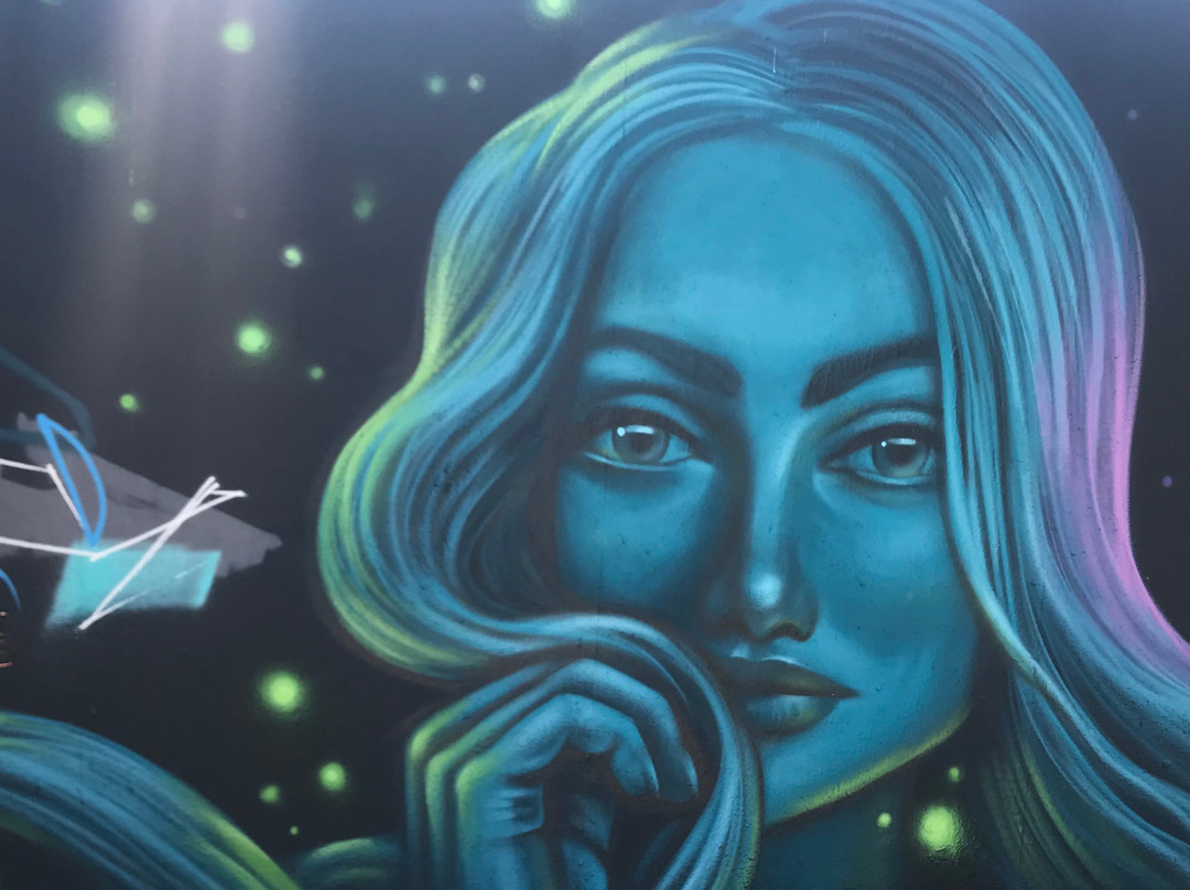 San Diego Private Tours - Journeys with Julie-圣地亚哥必去景点