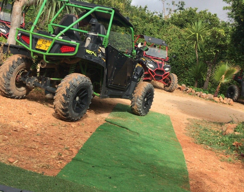 Buggy Safari景点图片