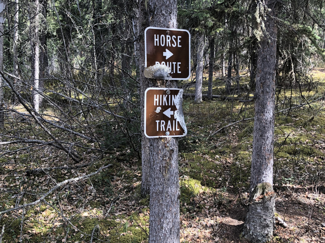 Angel Rocks Trail-费尔班克斯必去景点