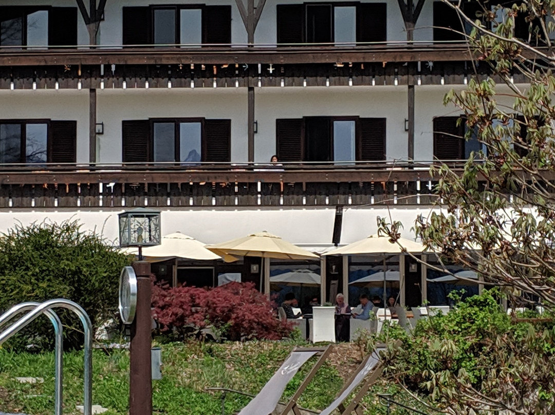 穆尔瑙阿尔班霍夫酒店_x005F_x000D_主图