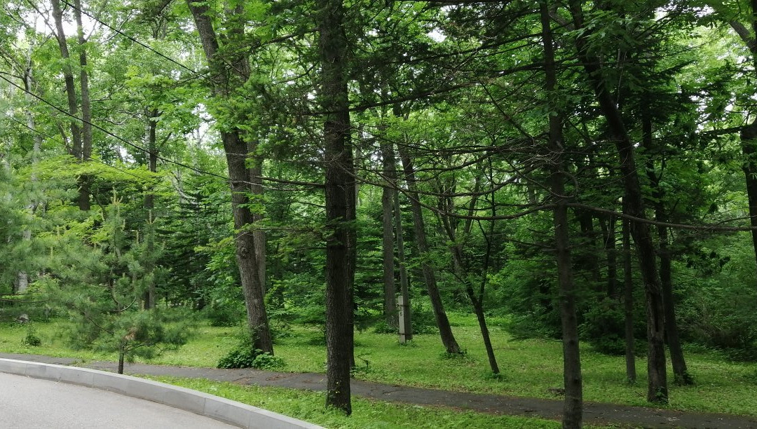 Aurora Park Hotel主图