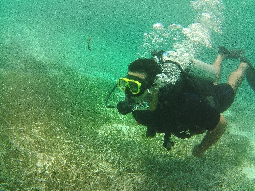 激情马尔代夫潜水学校景点图片