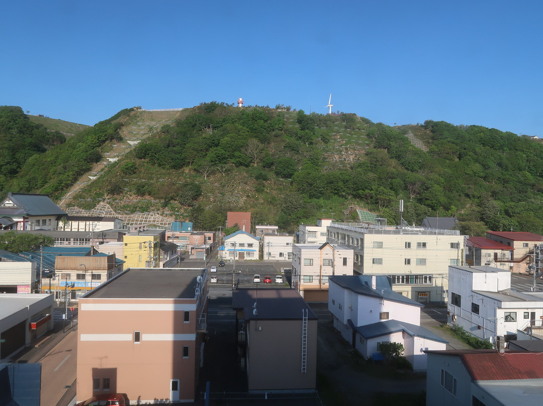 稚内多米酒店主图