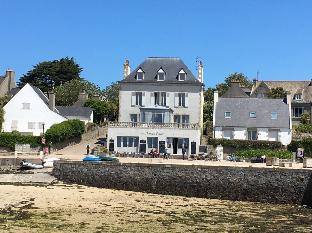 Les Herbes Folles主图