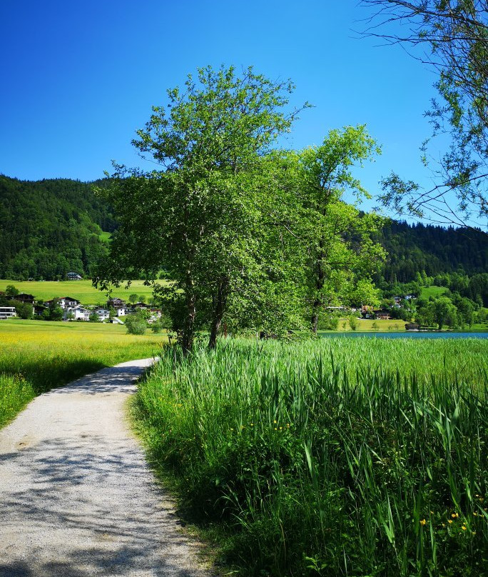 Lake Thiersee-堤尔湖必去景点