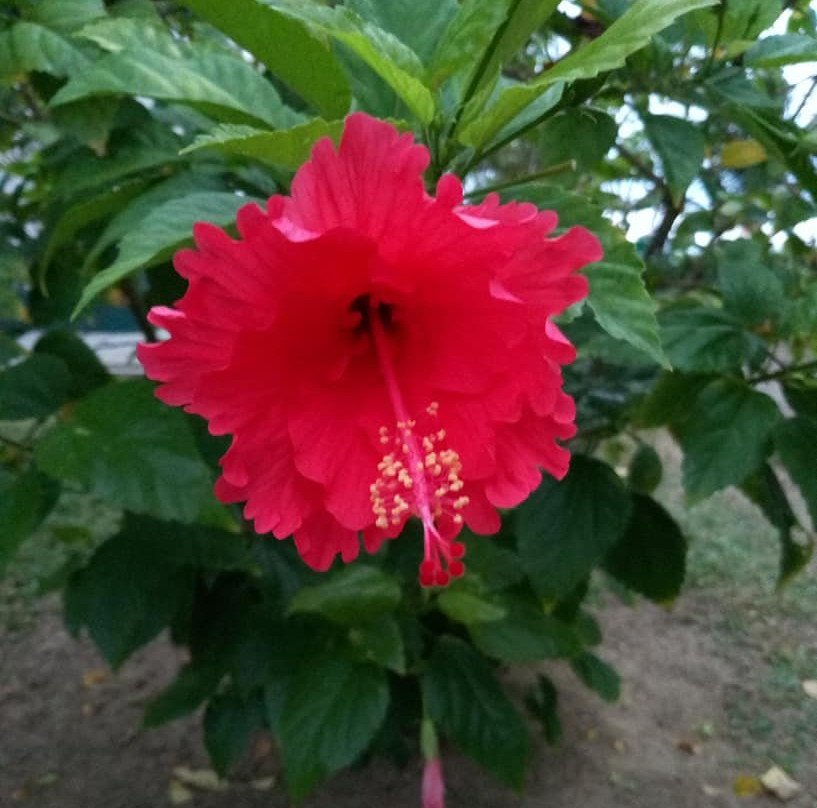 帕卡别墅度假村主图