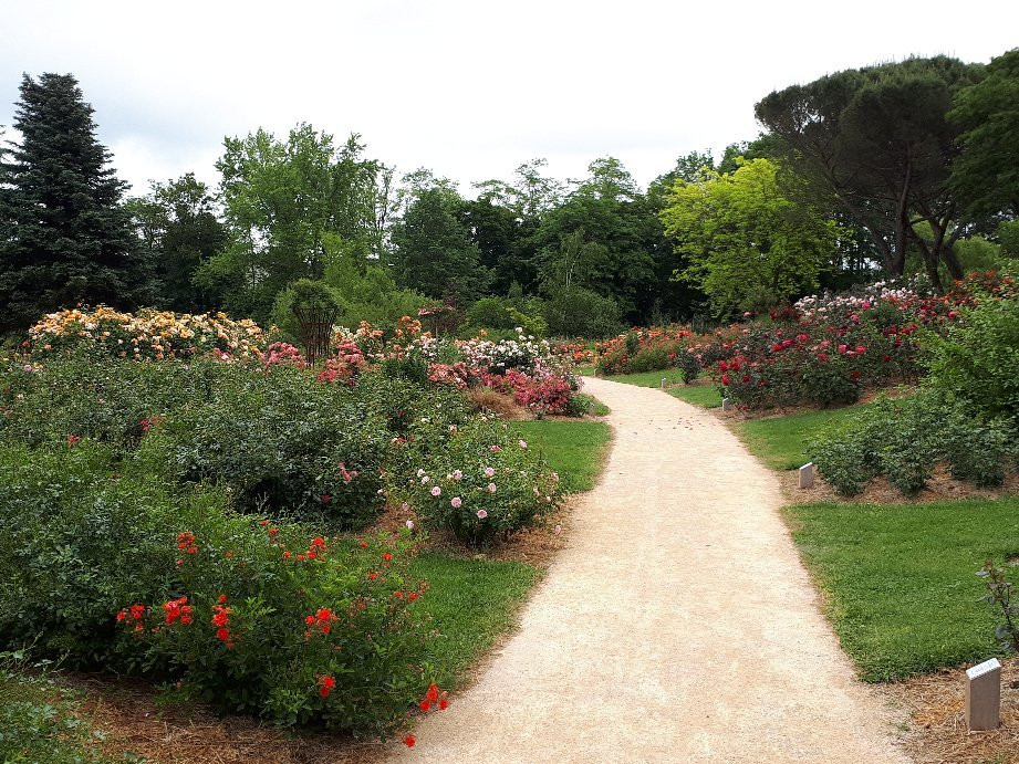 Parc floral de la Roseraie景点图片