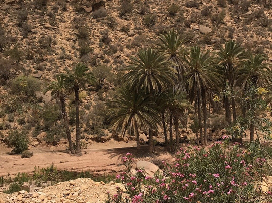 Quad Buggy Agadir-Tamraght必去景点