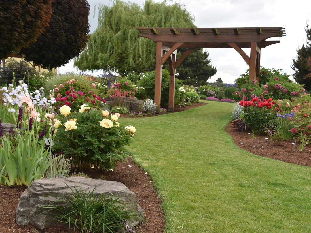 Adelman Peony Gardens-塞勒姆必去景点