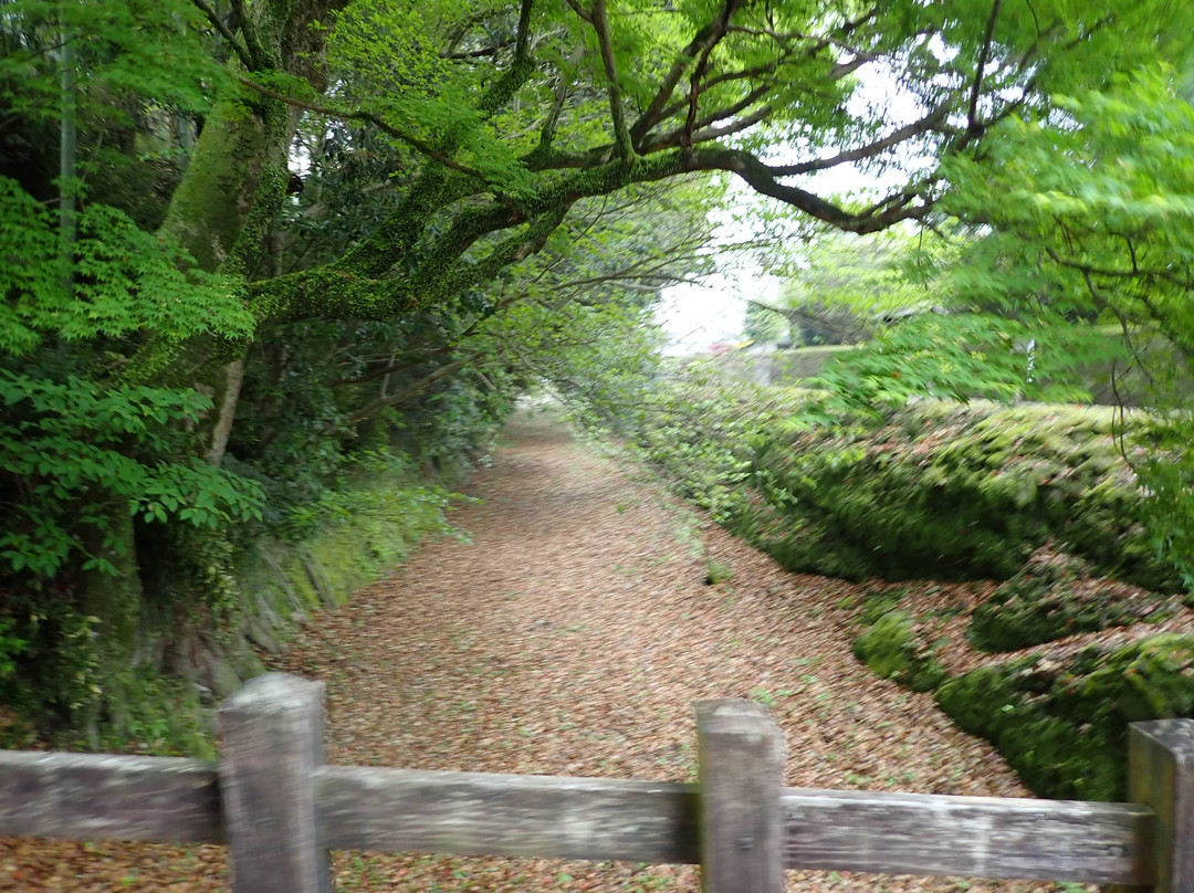 Obijyo Castle Ruins景点图片