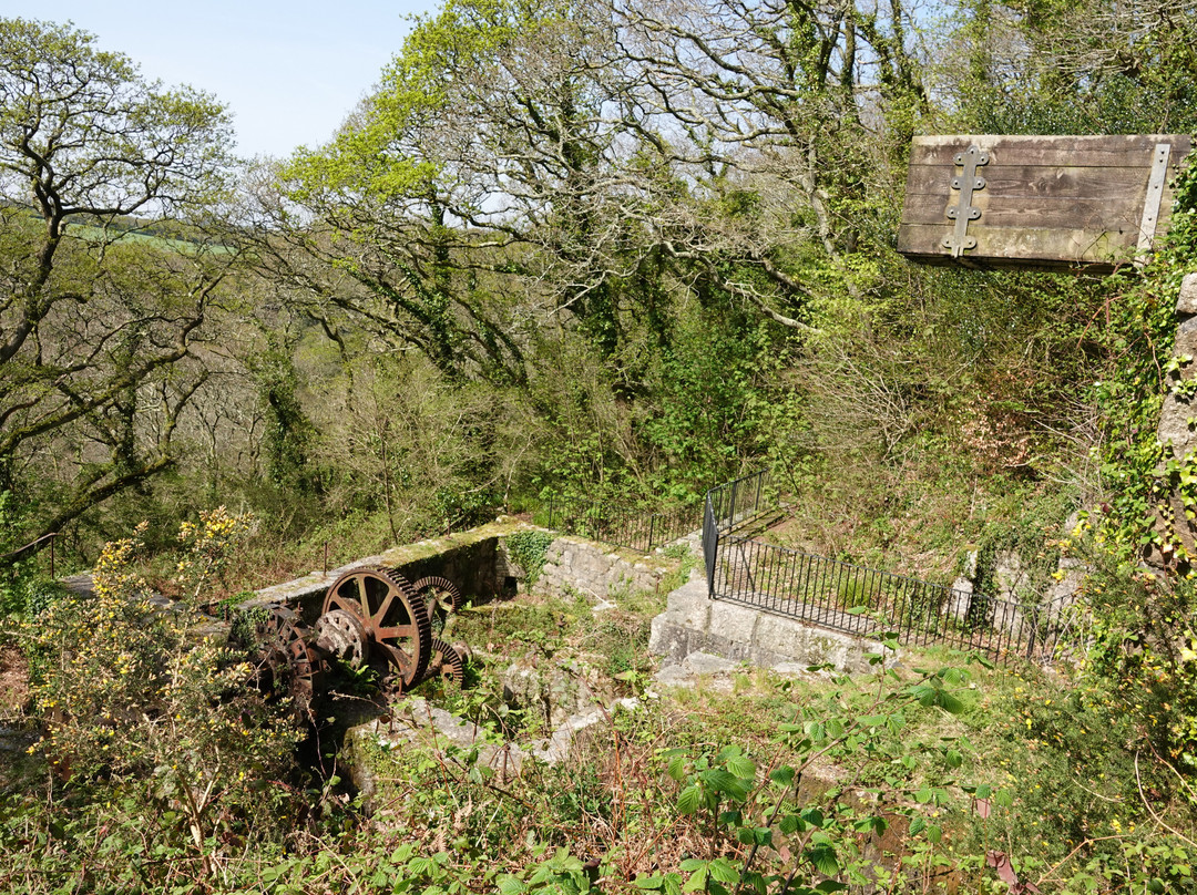 Luxulyan Valley to Prideaux Circular Walk-St Blazey必去景点