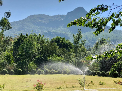 The Sattva Nature Retreat主图