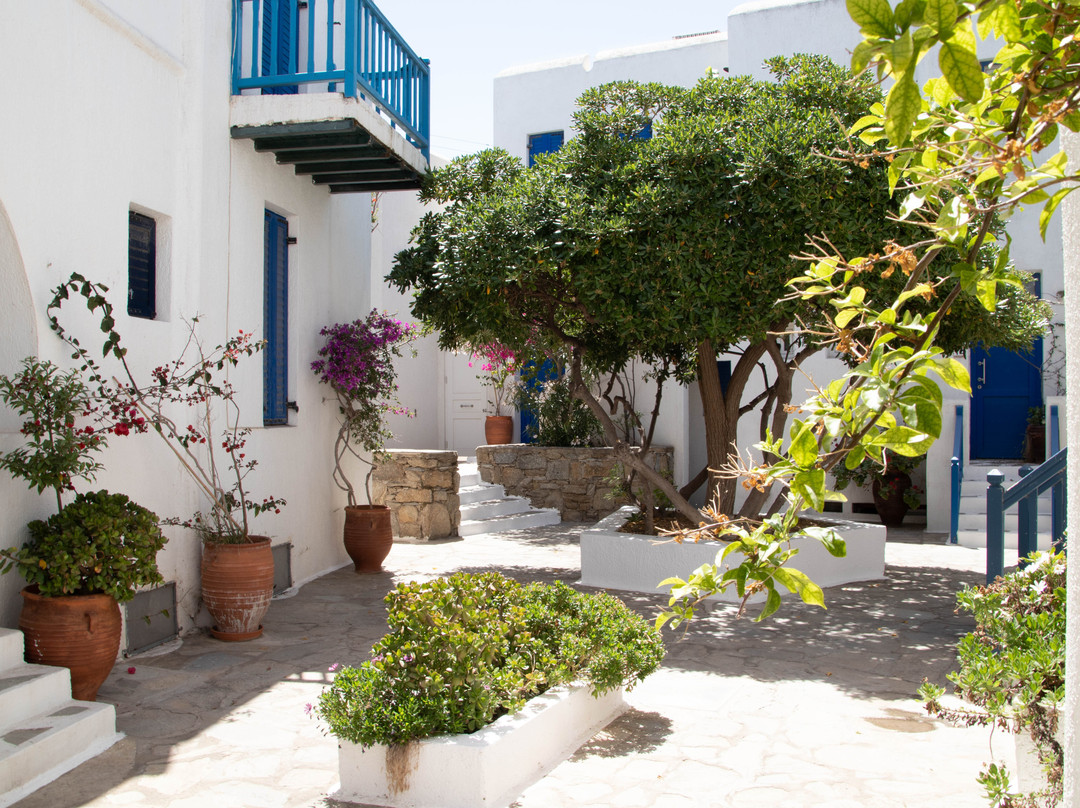 Andromeda Residence主图