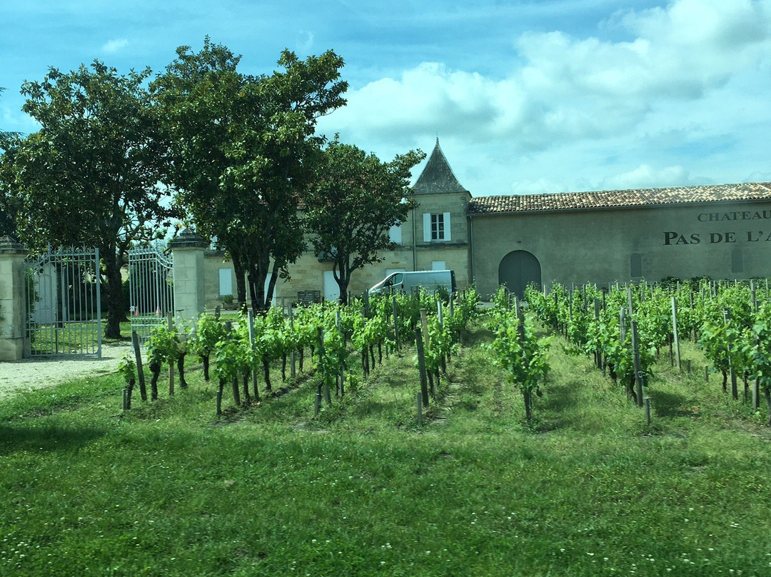 Château Pas de l'Ane景点图片